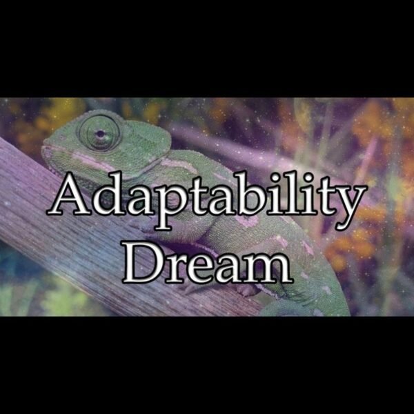 Adaptability Dream