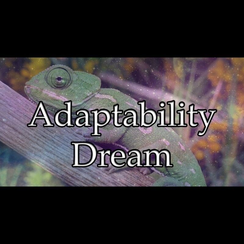 Adaptability Dream