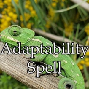 Adaptability Spell