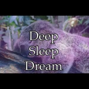 Deep Sleep Dream
