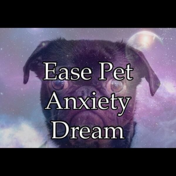 Ease Pet Anxiety Dream