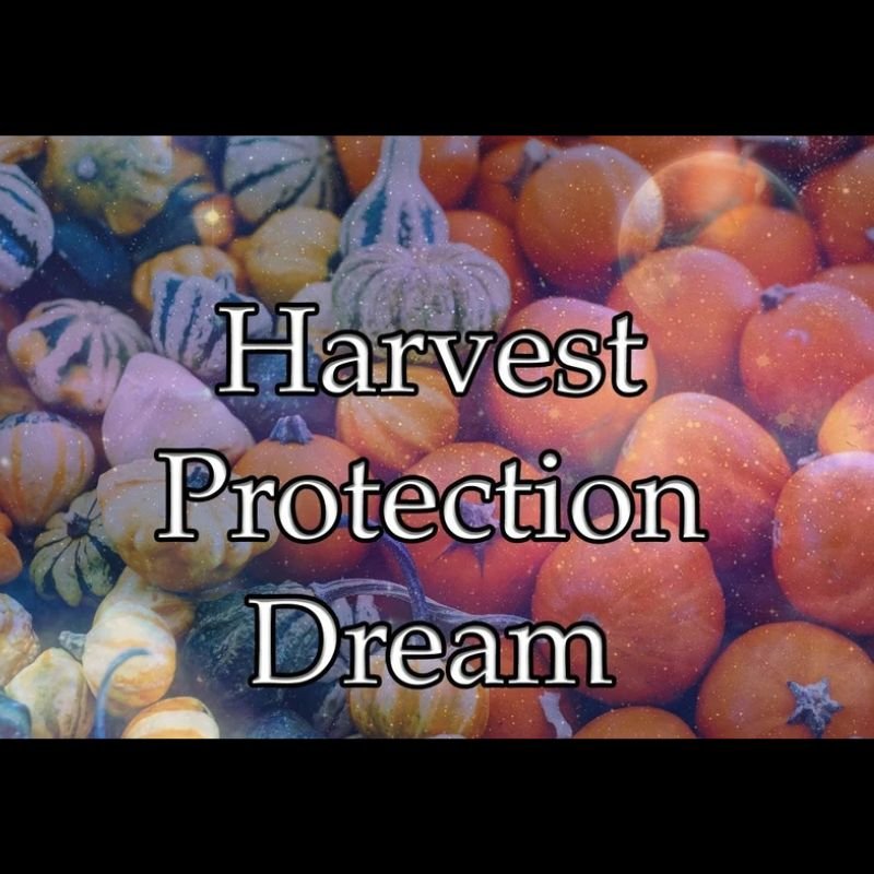 Harvest Protection Dream