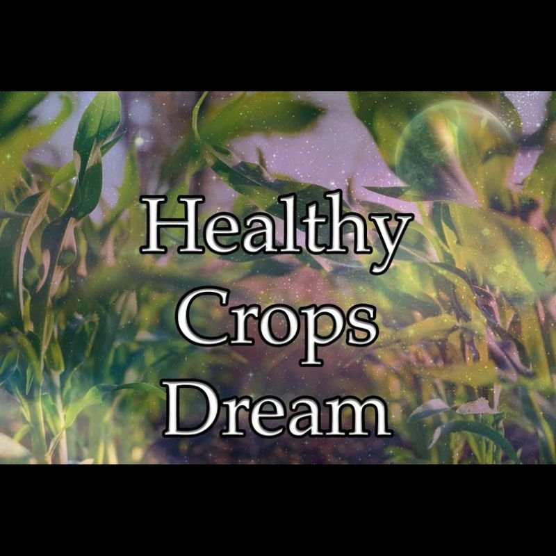 Healthy Crops Dream