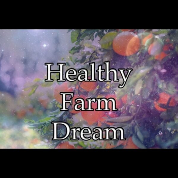 Healthy Farm Dream