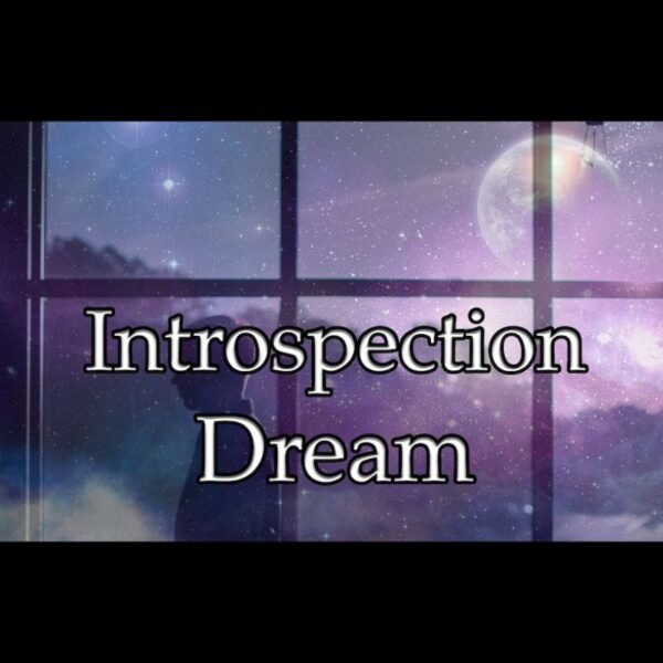 Introspection Dream