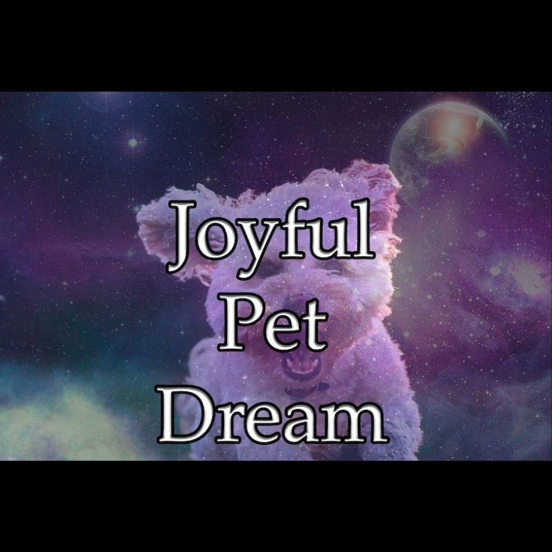 Joyful Pet Dream