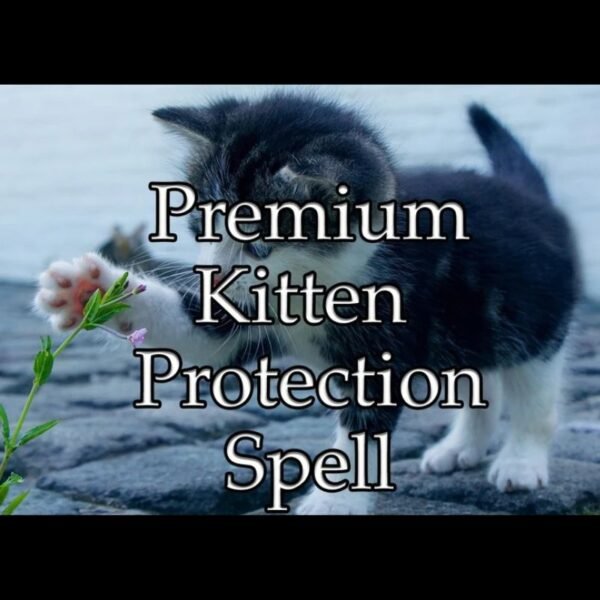Kitten Protection Spell
