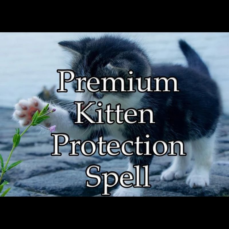 Kitten Protection Spell