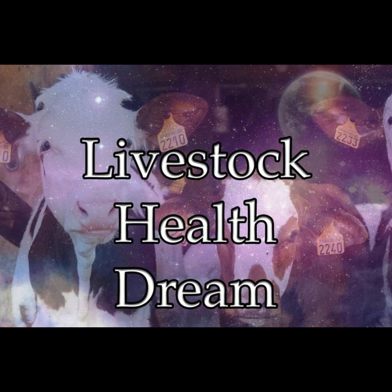 Livestock Health Dream