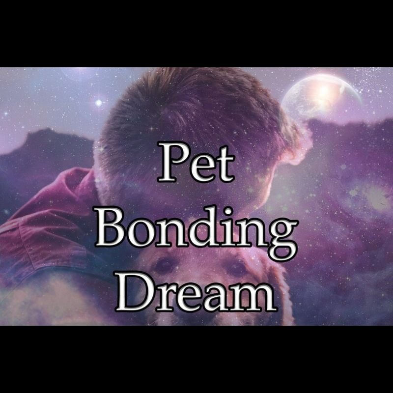 Pet Bonding Dream