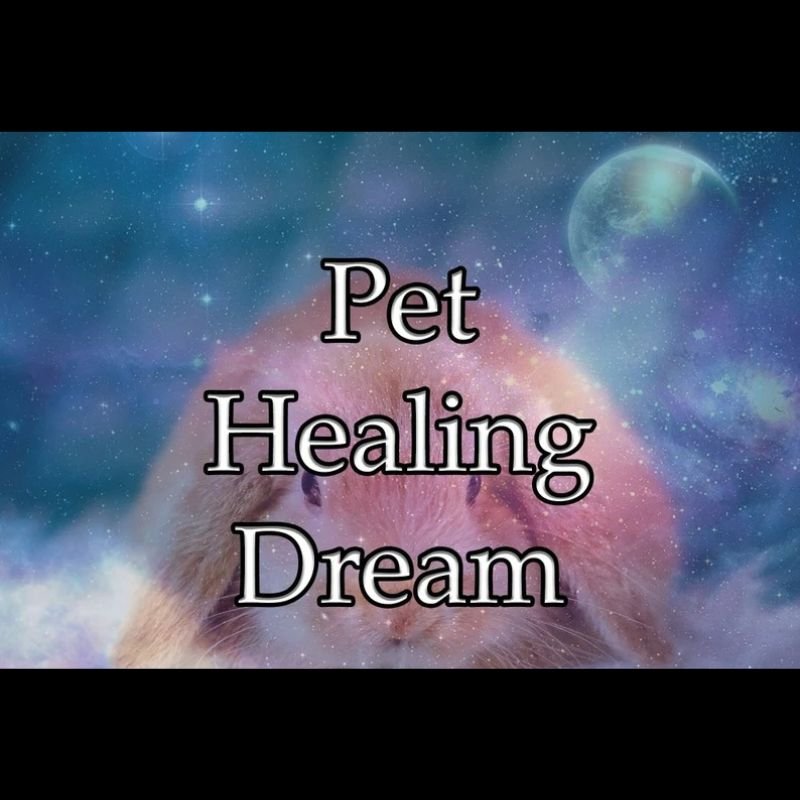 Pet Healing Dream