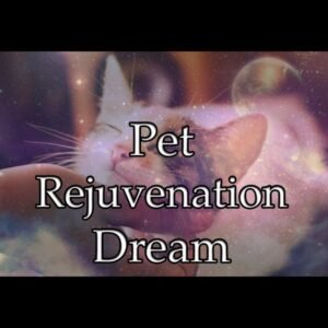 Pet Rejuvenation Dream