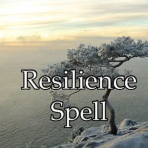 Resilience Spell