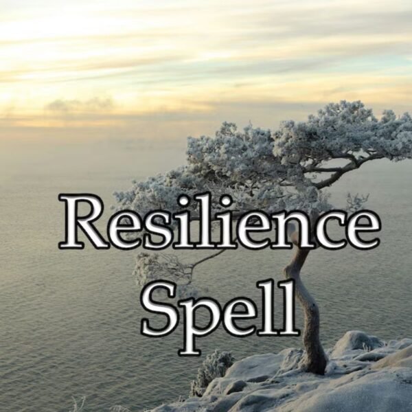 Resilience Spell