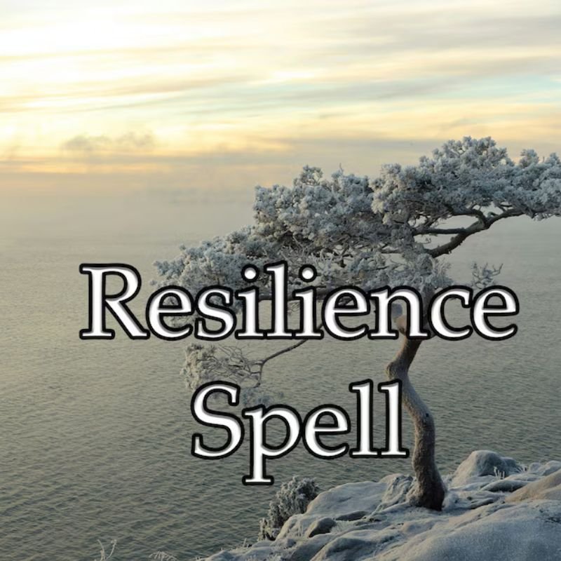 Resilience Spell