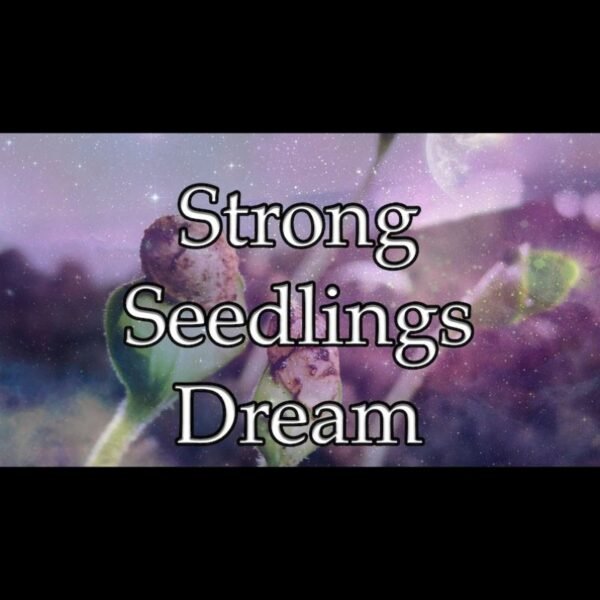 Strong Seedlings Dream