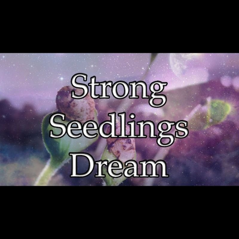 Strong Seedlings Dream