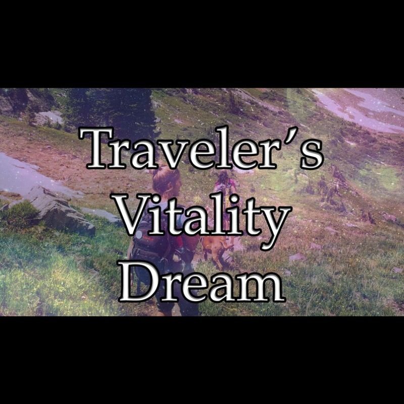 Travelers Vitality Dream