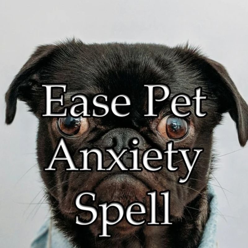 Ease Pet Anxiety Spell