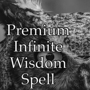 Infinite Wisdom Spell