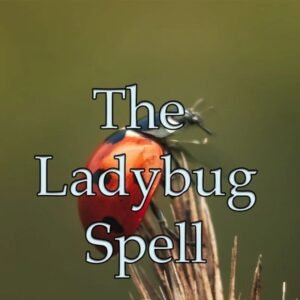 Ladybug Spell
