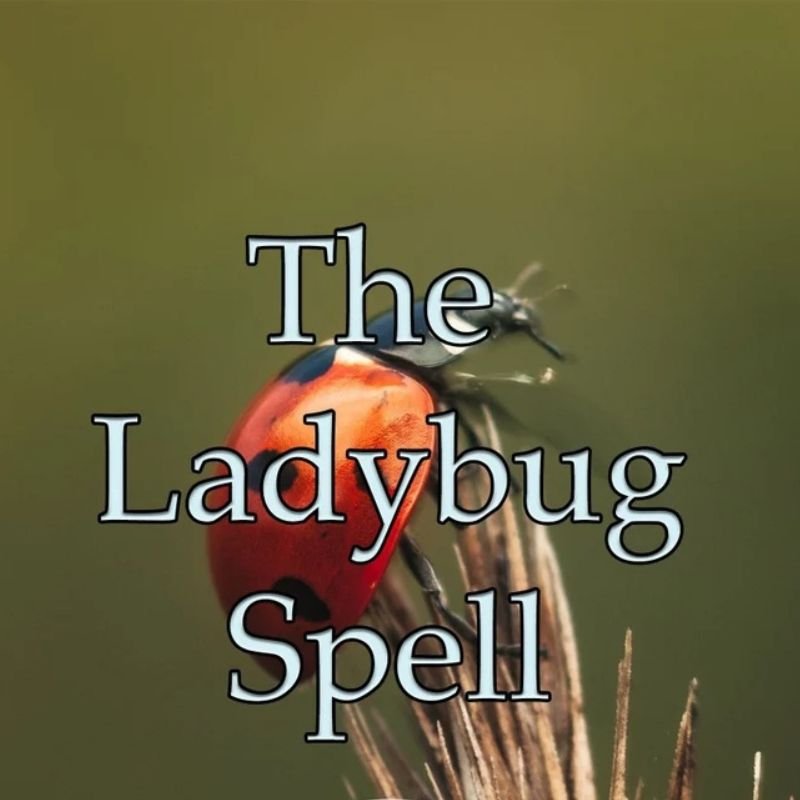 Ladybug Spell