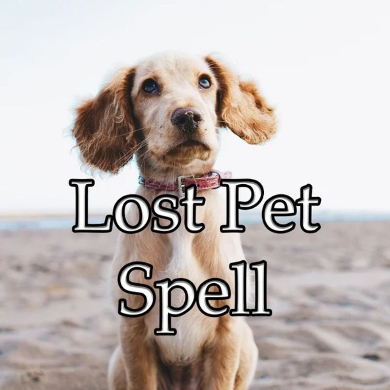 Lost Pet Spell