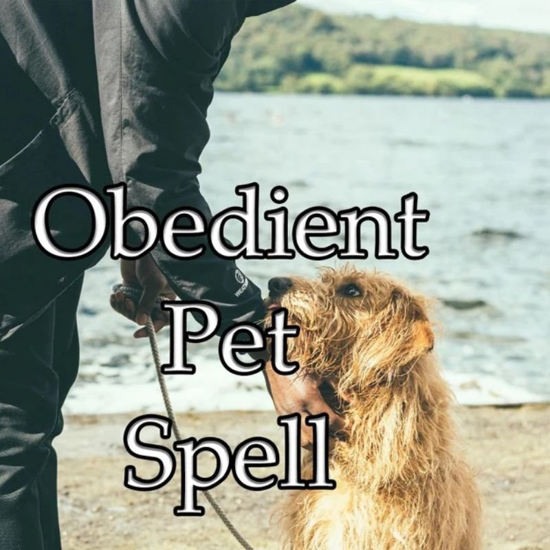 Obedient Pet Spell