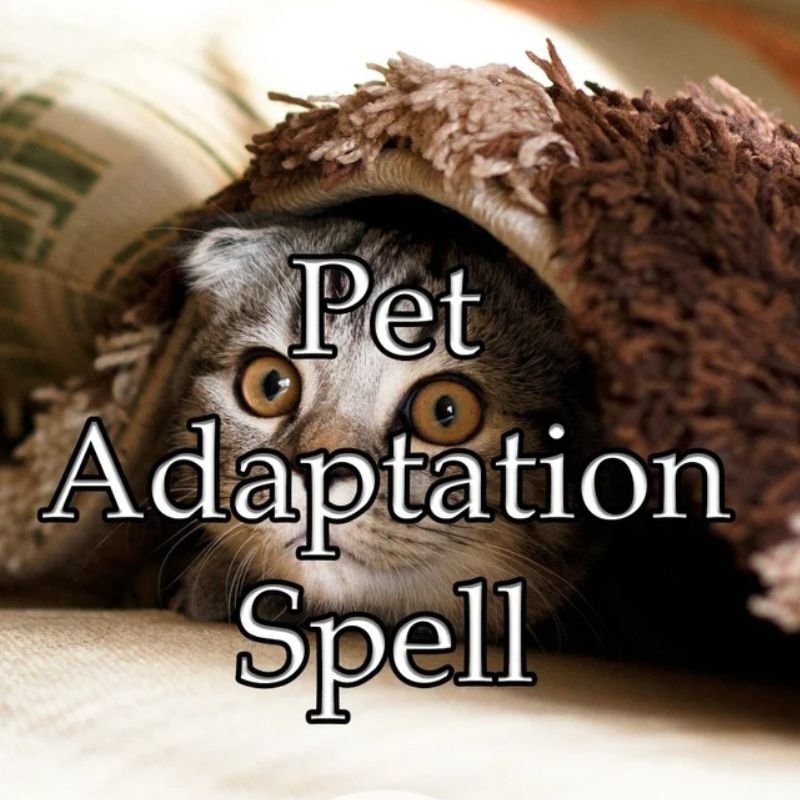 Pet Adaptation Spell