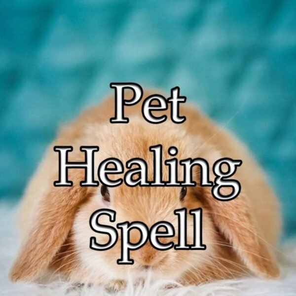 Pet Healing Spell