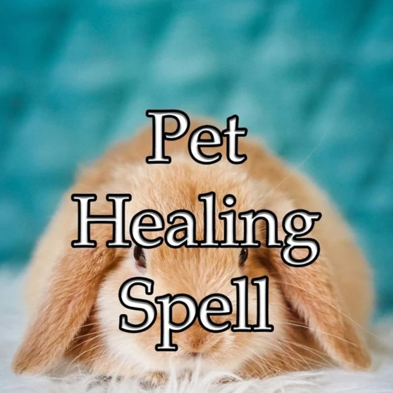 Pet Healing Spell