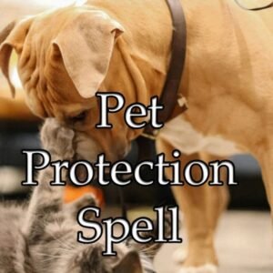 Pet Protection Spell