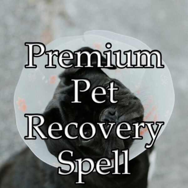 Pet Recovery Spell