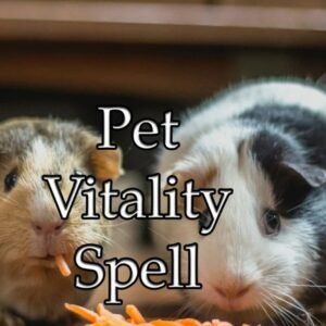 Pet Vitality Spell