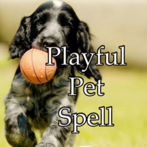 Playful Pet Spell