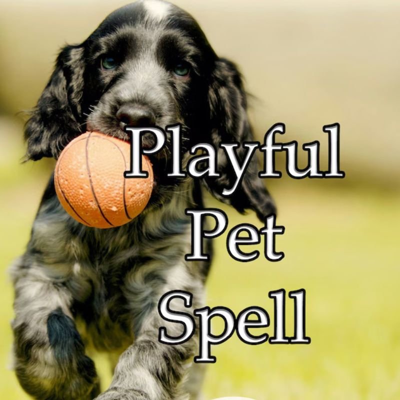Playful Pet Spell