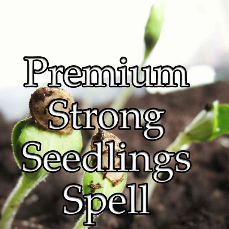 Strong Seedlings Spell